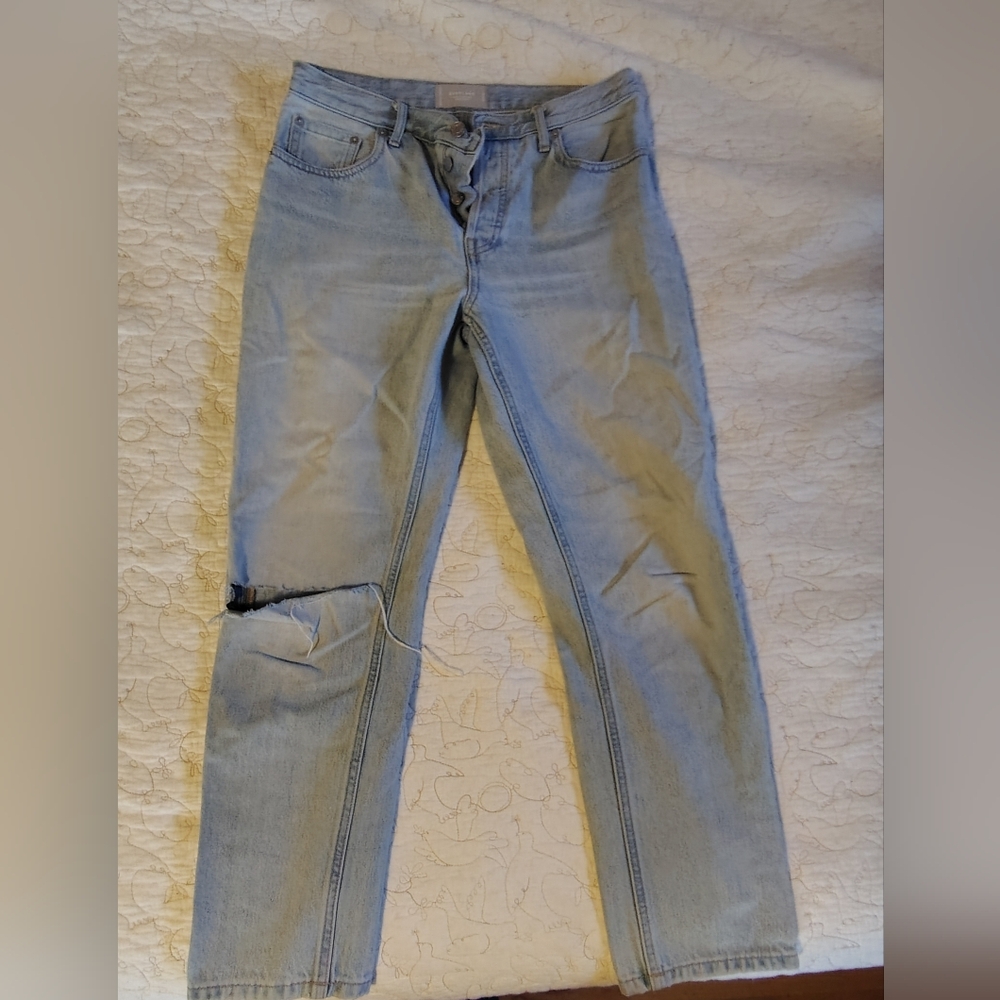 Everlane 90s Cheeky Organic Cotton Ankle Jeans